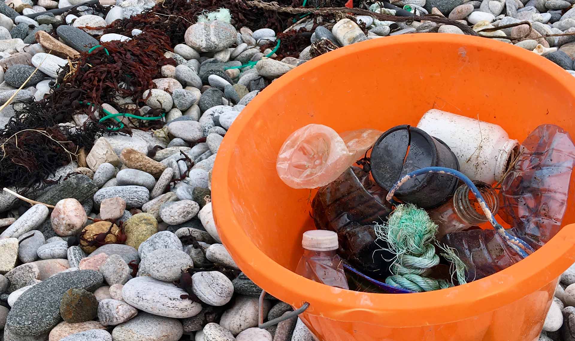 the-pebble-trust-surfers-against-sewage