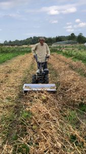 Shea at work in the field