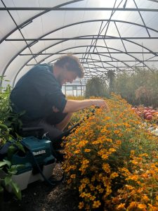 Shea at work in the polytunnel